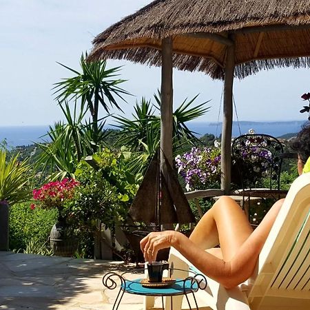 Nouveau ! Chambre D'Hote Insolite Privee " Coeurs De Pirates A Bali En Provence" Spa Sauna Massages Dans Cadre Exotique D'Amenagements Exterieurs D'Exception Ete Comme Hiver Bienvenue !!! Cavalaire-sur-Mer Luaran gambar