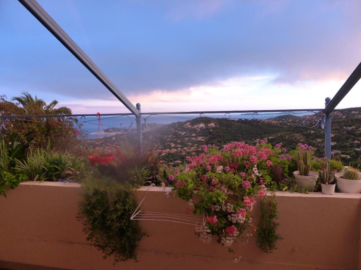 Nouveau ! Chambre D'Hote Insolite Privee " Coeurs De Pirates A Bali En Provence" Spa Sauna Massages Dans Cadre Exotique D'Amenagements Exterieurs D'Exception Ete Comme Hiver Bienvenue !!! Cavalaire-sur-Mer Luaran gambar