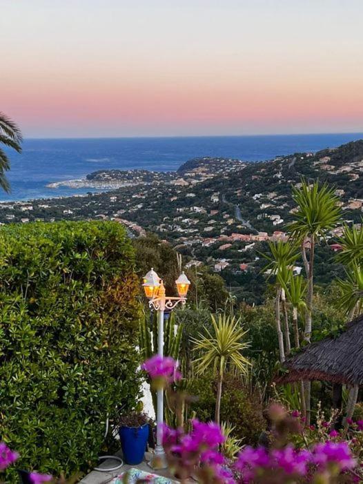 Nouveau ! Chambre D'Hote Insolite Privee " Coeurs De Pirates A Bali En Provence" Spa Sauna Massages Dans Cadre Exotique D'Amenagements Exterieurs D'Exception Ete Comme Hiver Bienvenue !!! Cavalaire-sur-Mer Luaran gambar