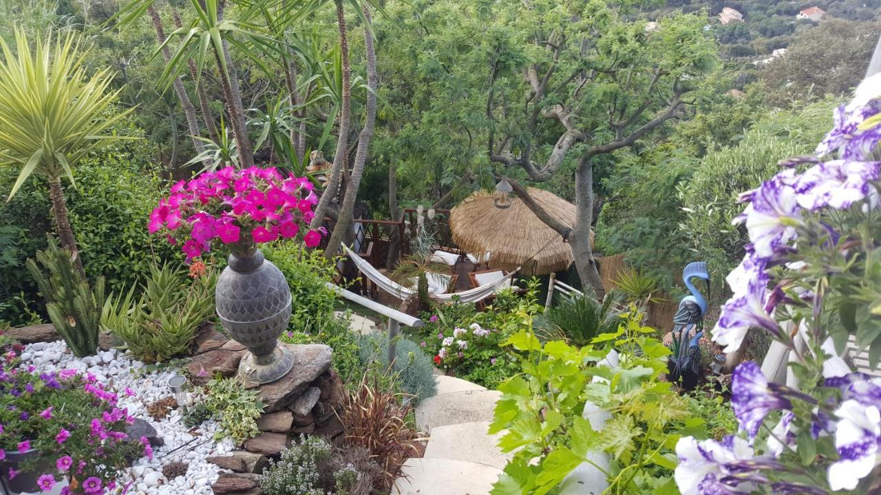 Nouveau ! Chambre D'Hote Insolite Privee " Coeurs De Pirates A Bali En Provence" Spa Sauna Massages Dans Cadre Exotique D'Amenagements Exterieurs D'Exception Ete Comme Hiver Bienvenue !!! Cavalaire-sur-Mer Luaran gambar