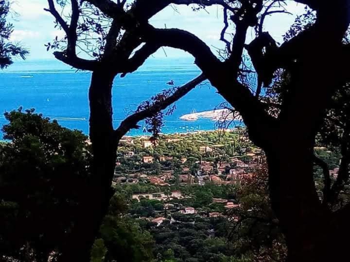 Nouveau ! Chambre D'Hote Insolite Privee " Coeurs De Pirates A Bali En Provence" Spa Sauna Massages Dans Cadre Exotique D'Amenagements Exterieurs D'Exception Ete Comme Hiver Bienvenue !!! Cavalaire-sur-Mer Luaran gambar